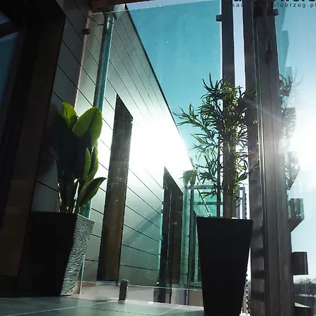 Sunflowers Apartament Leo Grey W Kolobrzegu Колобжег